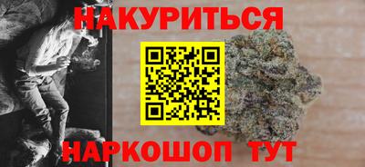 гидра Славгород