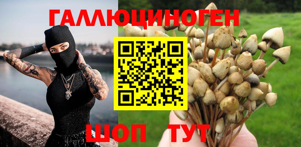 Ростов-на-Дону  Галлюциногенные грибы GOLDEN TEACHER  Вход с VPN  Галлюциногенные грибы Psilocybe 
