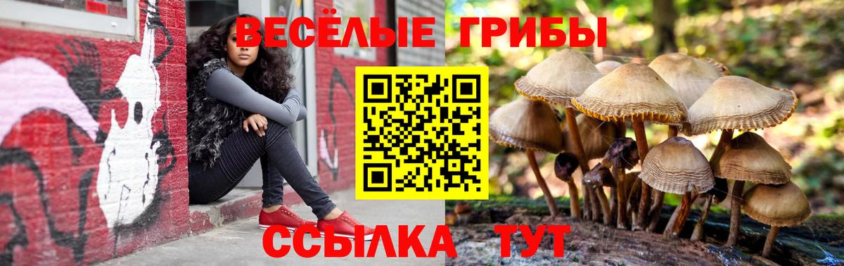 Галлюциногенные грибы мицелий Ростов-на-Дону